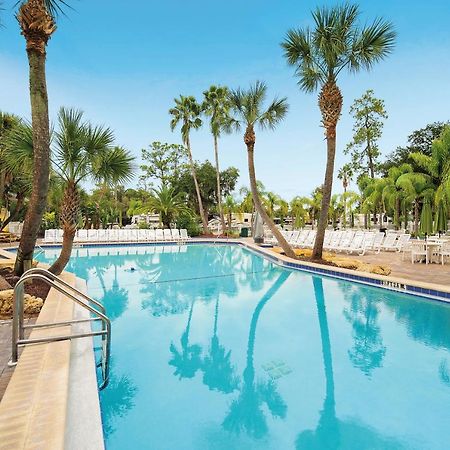Tropical Palms Resort 셀러브레이션 외부 사진